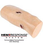 NAR HEMORESPONSE SYSTEM - Femoral Injury Training Module