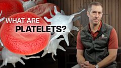 Prehospital Blood: What Role Do Platelets Play in Hemorrhage Control?