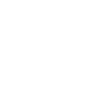 Ballistic Category